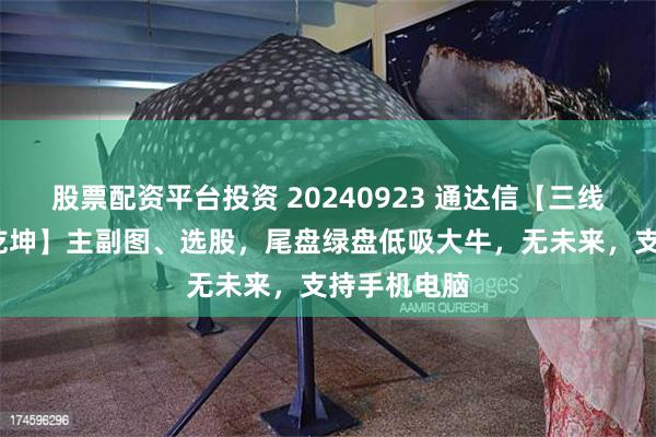 股票配资平台投资 20240923 通达信【三线定势-扭转乾坤】主副图、选股，尾盘绿盘低吸大牛，无未来，支持手机电脑