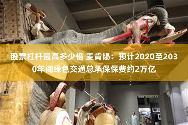 股票杠杆最高多少倍 麦肯锡：预计2020至2030年间绿色交通总承保保费约2万亿