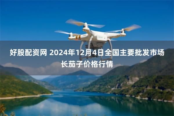 好股配资网 2024年12月4日全国主要批发市场长茄子价格行情