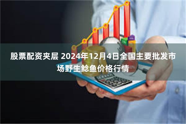 股票配资夹层 2024年12月4日全国主要批发市场野生鲶鱼价格行情