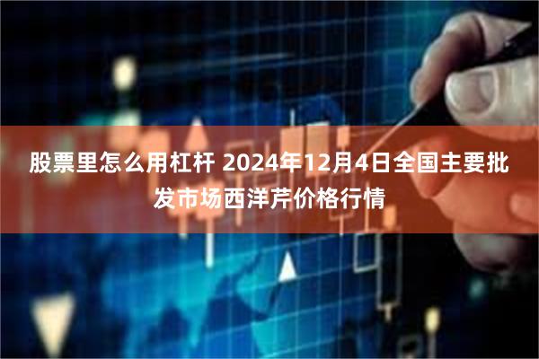 股票里怎么用杠杆 2024年12月4日全国主要批发市场西洋芹价格行情