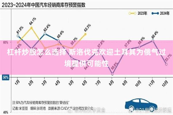 杠杆炒股怎么选择 斯洛伐克欢迎土耳其为俄气过境提供可能性