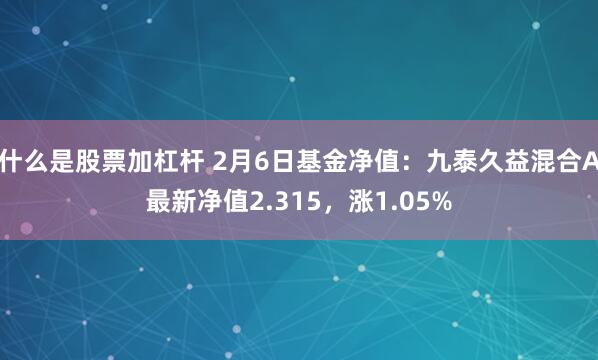 什么是股票加杠杆 2月6日基金净值：九泰久益混合A最新净值2.315，涨1.05%