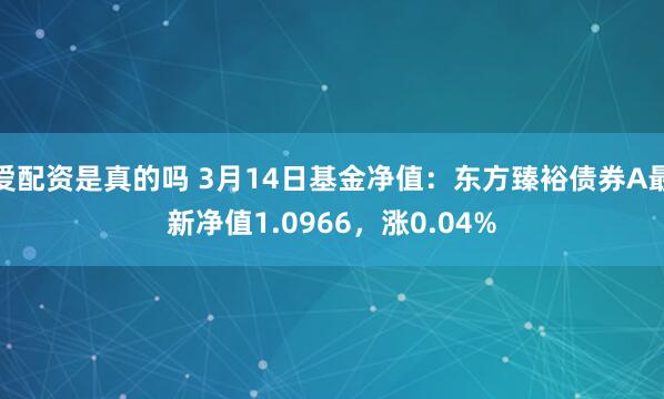 爱配资是真的吗 3月14日基金净值：东方臻裕债券A最新净值1.0966，涨0.04%