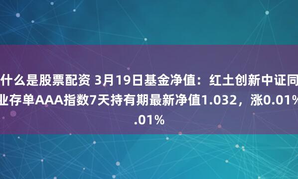 什么是股票配资 3月19日基金净值：红土创新中证同业存单AAA指数7天持有期最新净值1.032，涨0.01%